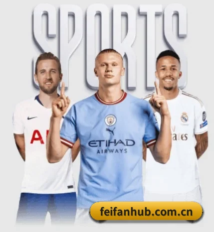 每个板块围绕一个运动项目展开(FEIFAN)